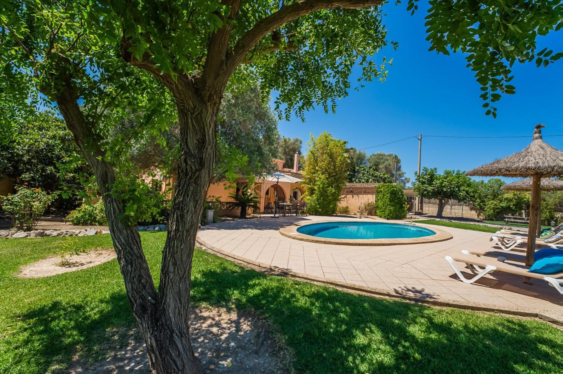 Ideal Mallorca - Toni * Alcudia (Mallorca)