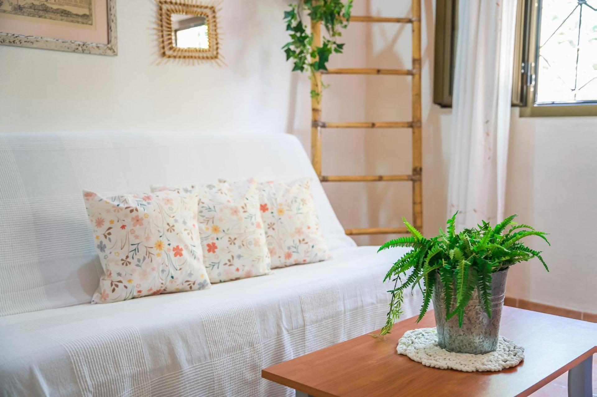 Holiday home Ideal Mallorca - Toni Alcudia (Mallorca)