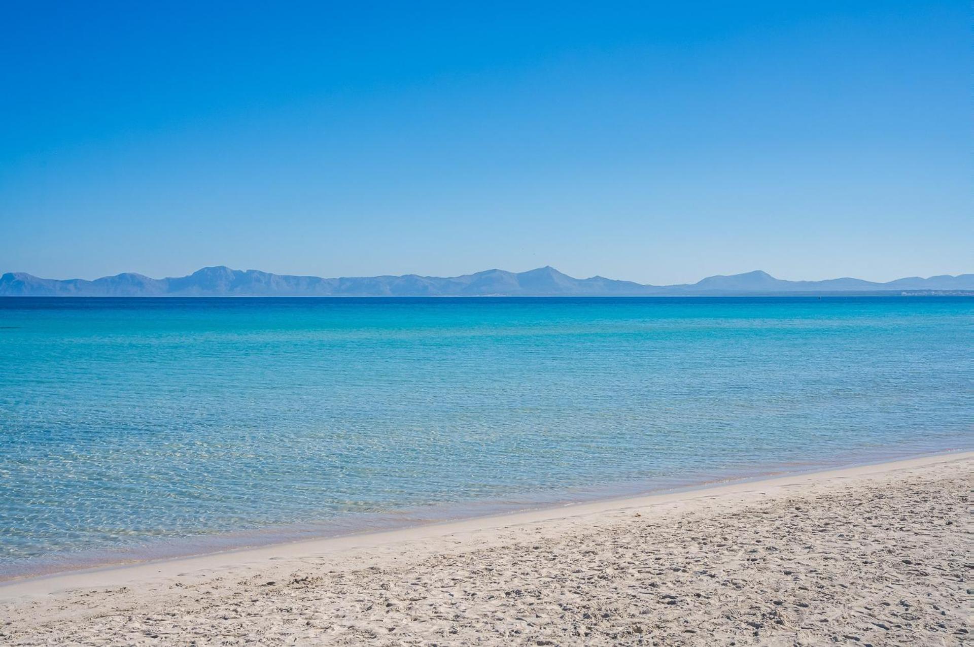 Ideal Mallorca - Toni Alcudia (Mallorca)